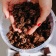 Crunchy Granola Coconut & Cacao (Eimer)